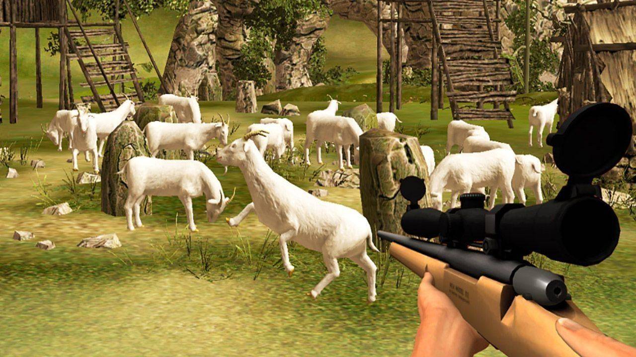 Wildlife Spotter Motion Arcade