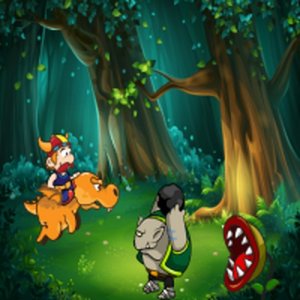 Canopy Run Adventure