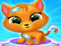 Pet Clinic Adventure