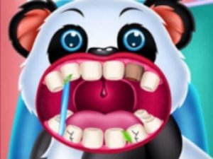 Wild Animal Hospital Veterinarian Online Simulation Game