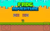 Ninja Frog Adventure Platformer Game - Arcade Game