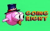 Going Right: Bird Flight Adventure