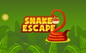 Snake Escape Logic Puzzle