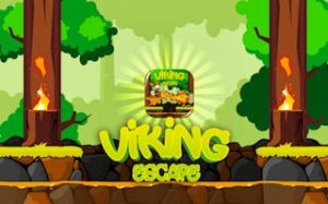 Skyward Path: Viking & Dragon