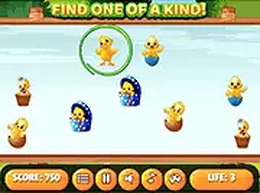 Spot the Odd One Out Chick