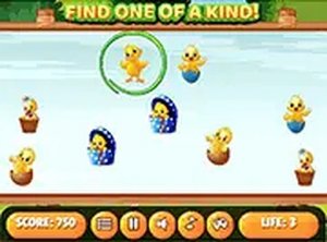 Spot the Odd One Out Chick