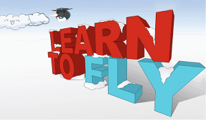 Learn to Fly Online Game