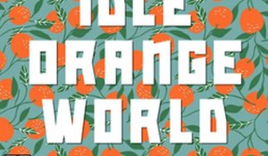 Idle Orange World Online Game